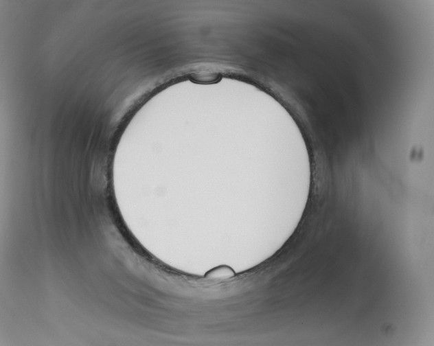 X0000110900015200907161603