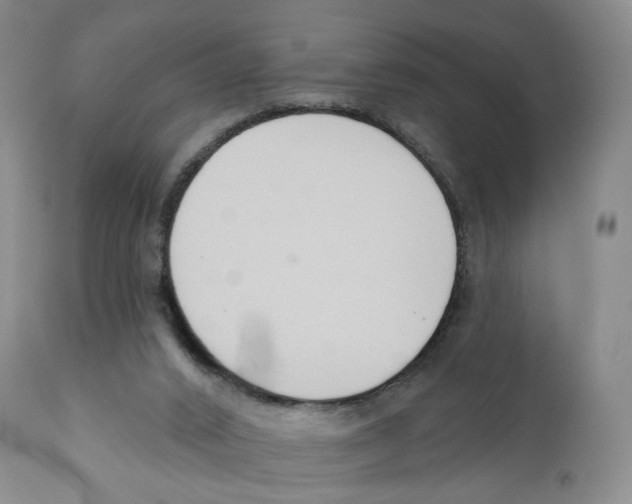 X0000110900016200907161603