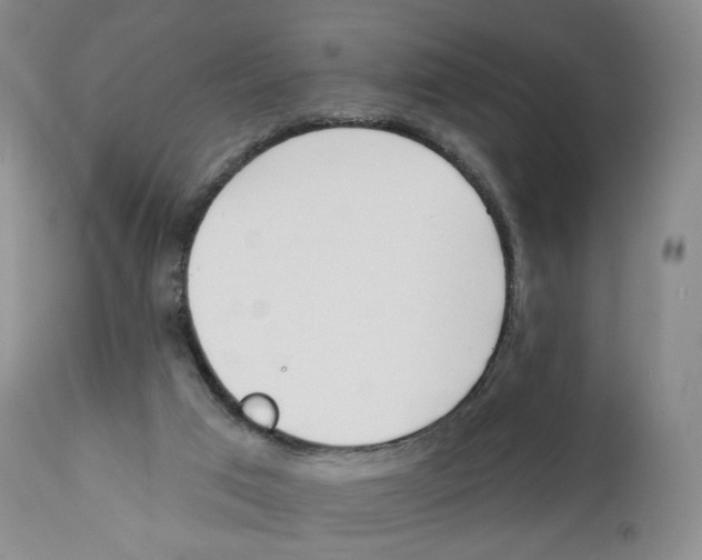 X0000110900017200907161603