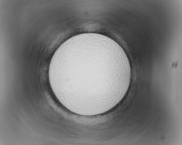 X0000110900018200907161603