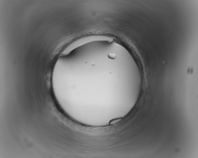 X0000110900019200907161603