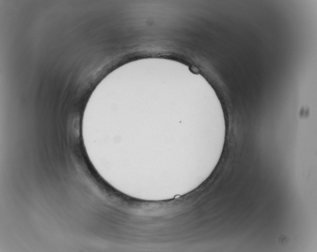 X0000110900021200907161603