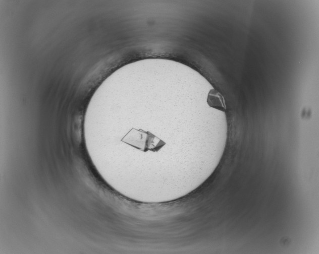 X0000110900022200907161603