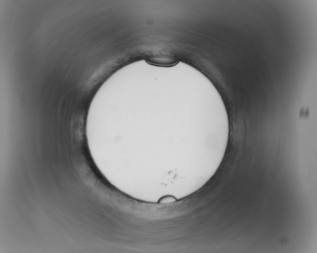 X0000110900023200907161603