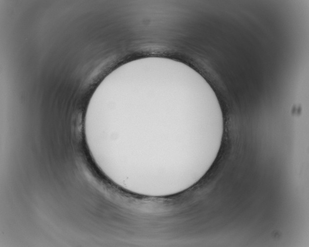 X0000110900024200907161603