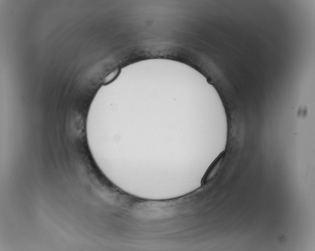 X0000110900025200907161603