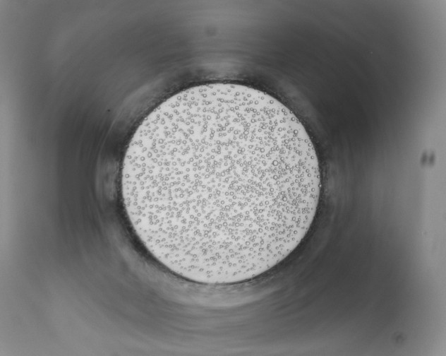 X0000110900026200907161603