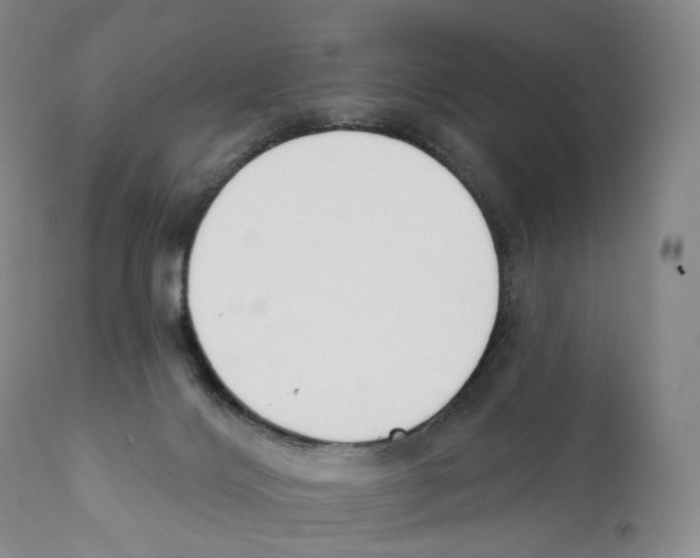 X0000110900028200907161603