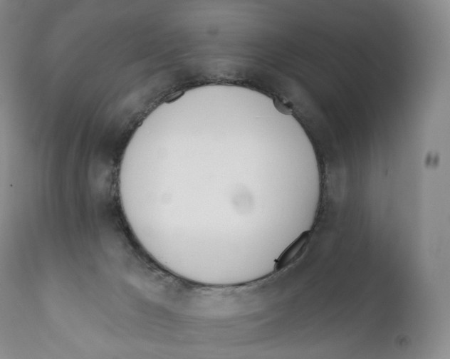 X0000110900029200907161603