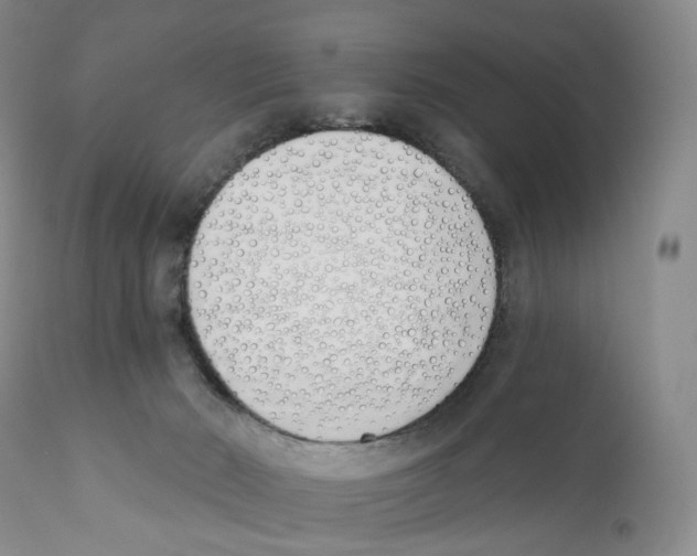 X0000110900030200907161603