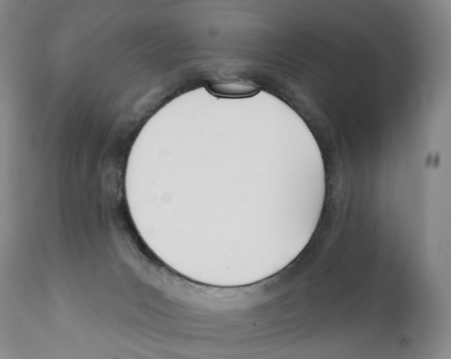 X0000110900031200907161603