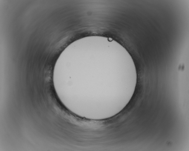 X0000110900032200907161603