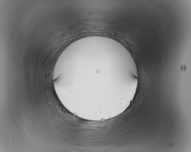 X0000110900033200907161603