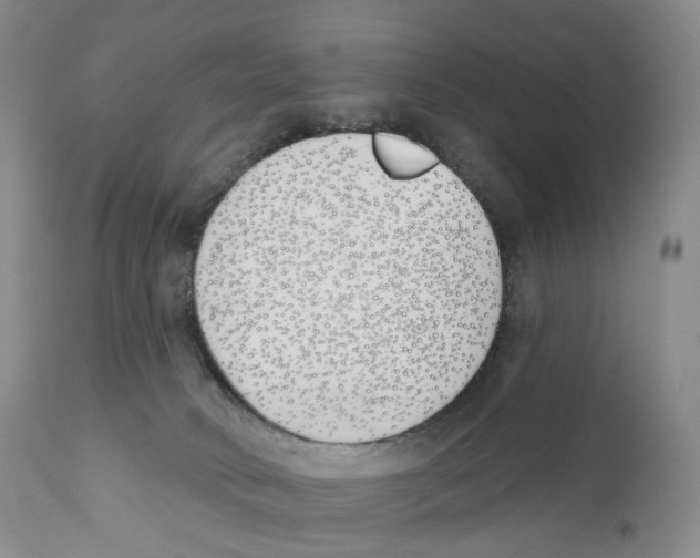 X0000110900034200907161603