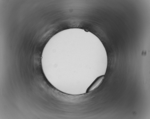 X0000110900035200907161603