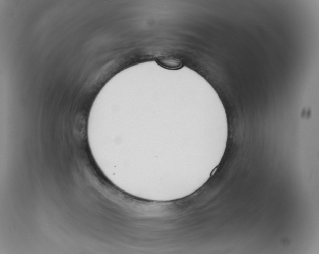 X0000110900036200907161603