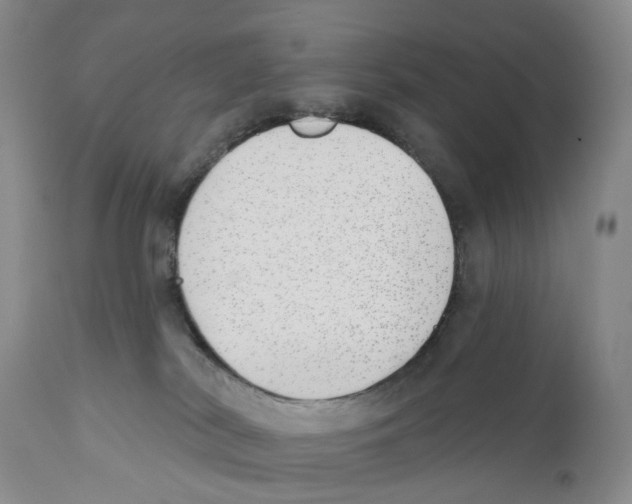 X0000110900038200907161603