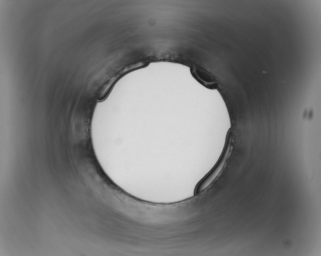 X0000110900039200907161603