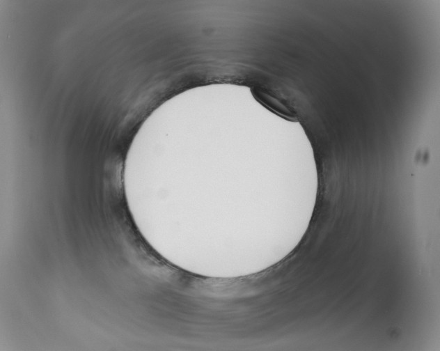 X0000110900041200907161603