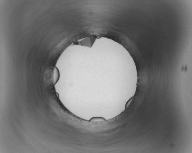 X0000110900043200907161603