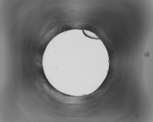 X0000110900044200907161603