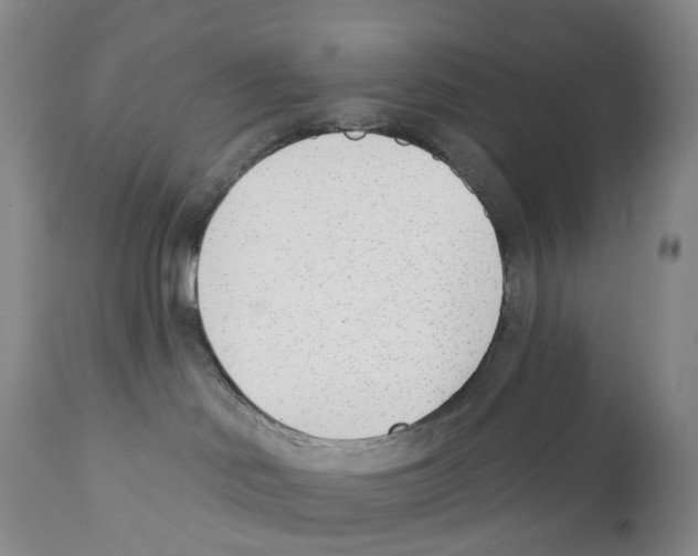 X0000110900046200907161603