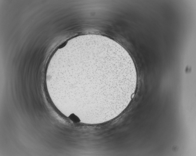 X0000110900049200907161602