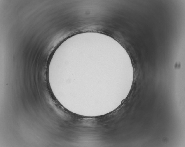 X0000110900050200907161602