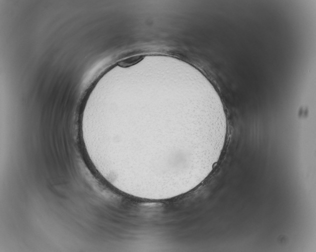 X0000110900053200907161602