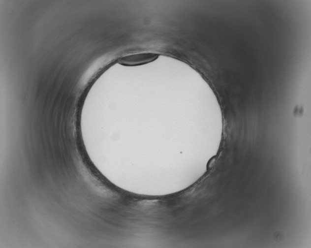 X0000110900054200907161602