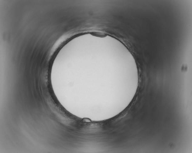 X0000110900056200907161602