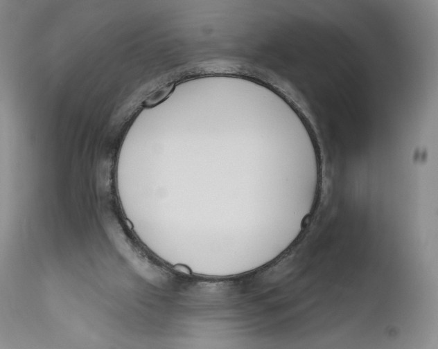 X0000110900057200907161602