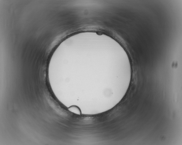 X0000110900059200907161602