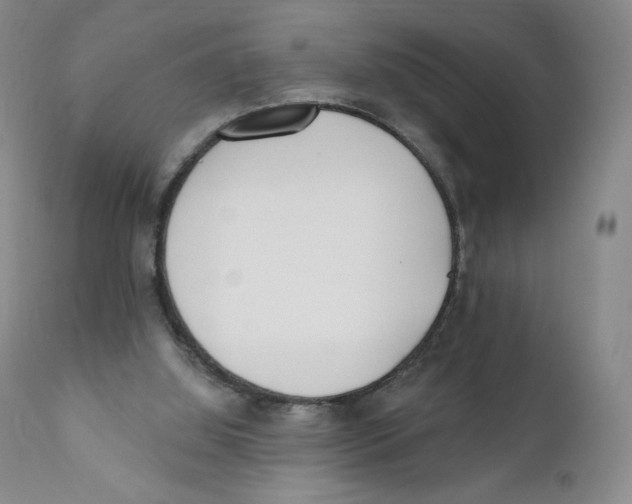 X0000110900060200907161602