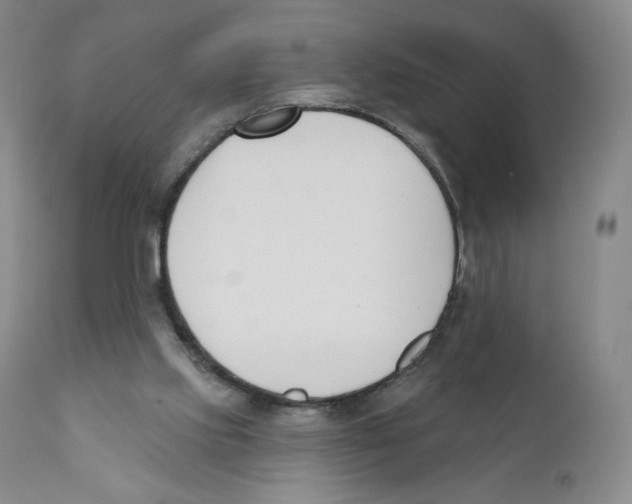 X0000110900061200907161602