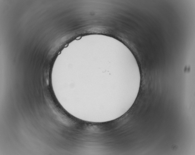 X0000110900062200907161602