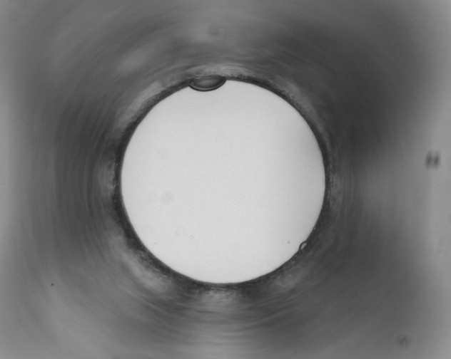 X0000110900063200907161602