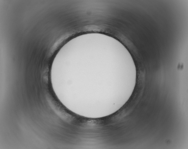 X0000110900064200907161602