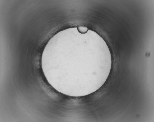 X0000110900065200907161602