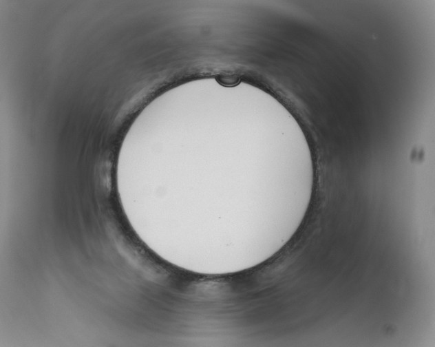 X0000110900067200907161602