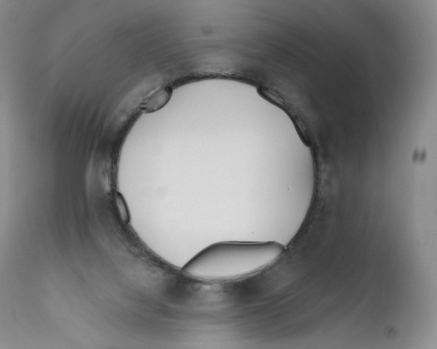 X0000110900068200907161602