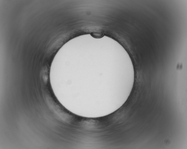 X0000110900069200907161602