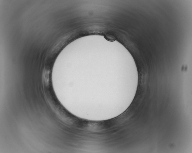 X0000110900070200907161602