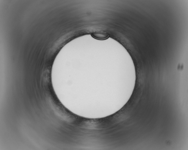 X0000110900071200907161602