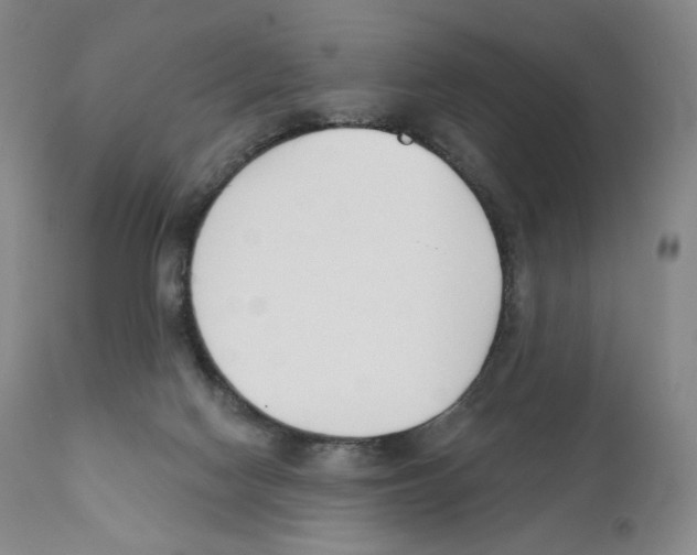 X0000110900074200907161602