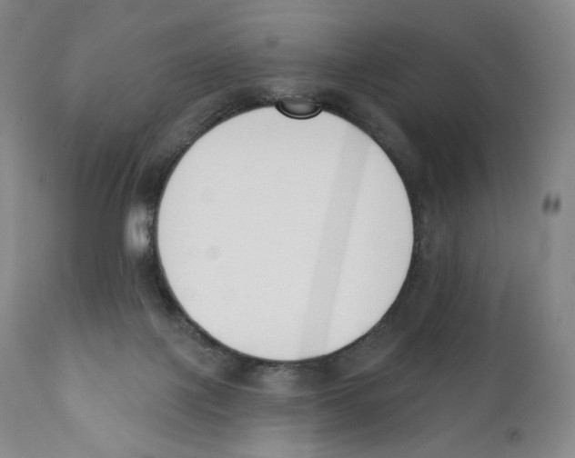 X0000110900075200907161602