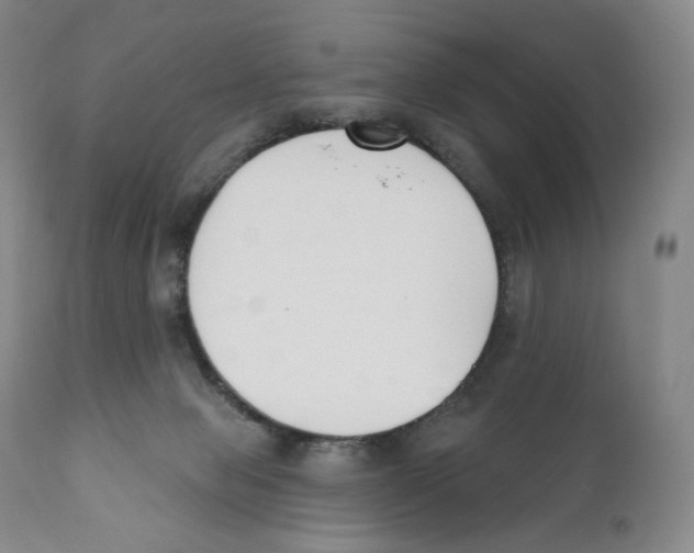 X0000110900077200907161602