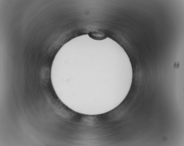 X0000110900079200907161602