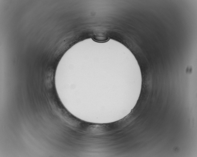 X0000110900082200907161602