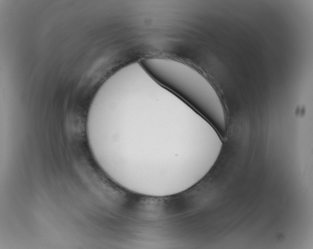 X0000110900084200907161602